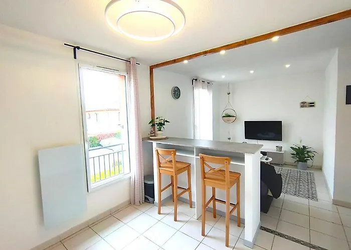 Le Cosy Eurocentre ► Terrasse ► Parking ► Wifi ► 24/24 * Castelnau-dʼEstrétefonds