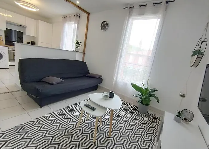 Le Cosy Eurocentre ► Terrasse ► Parking ► Wifi ► 24/24 * Castelnau-dʼEstrétefonds